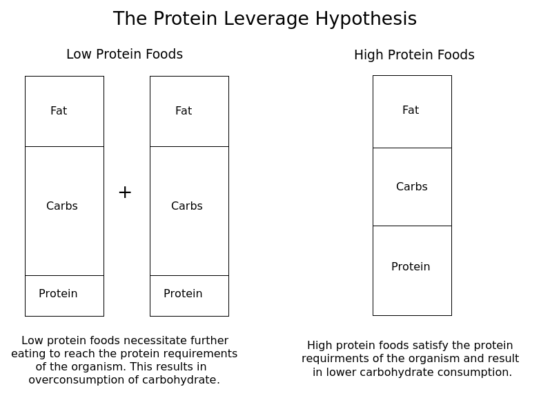 Protein leverage hypothesis | The poor, misunderstood calorie